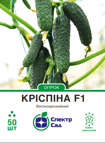 Кріспіна F1, насіння огірка 