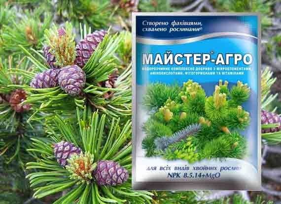 Комплексне добриво Майстер-Агро для всіх видів хвойних рослин (NPK 18.5.14+MgO)