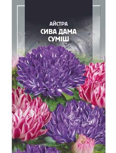 Насіння квітів Айстра півонієвидна Сива Дама