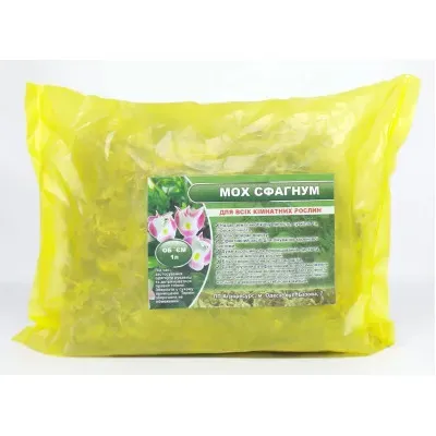 Мох Сфангум