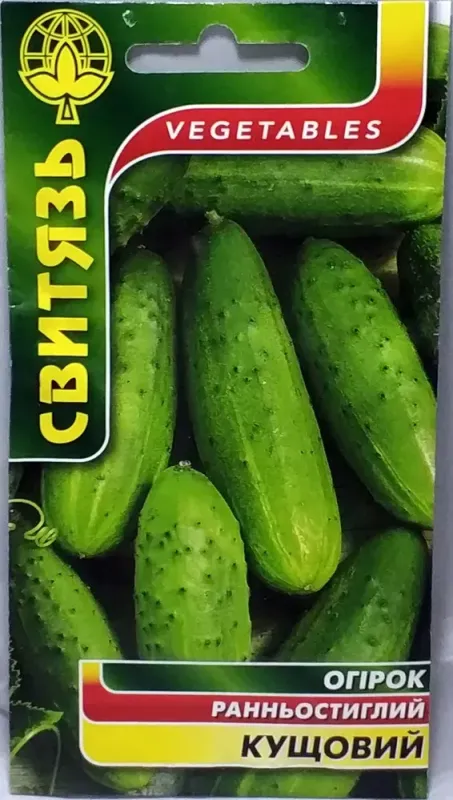 Насіння огірка Кущовий Свитязь