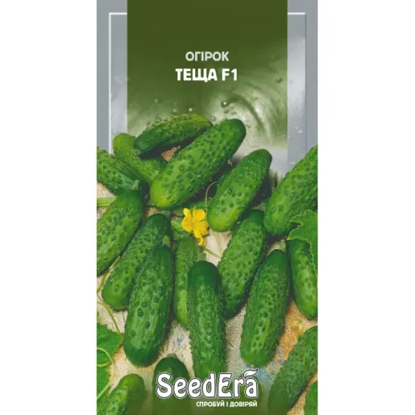 Насіння огірка Теща F1