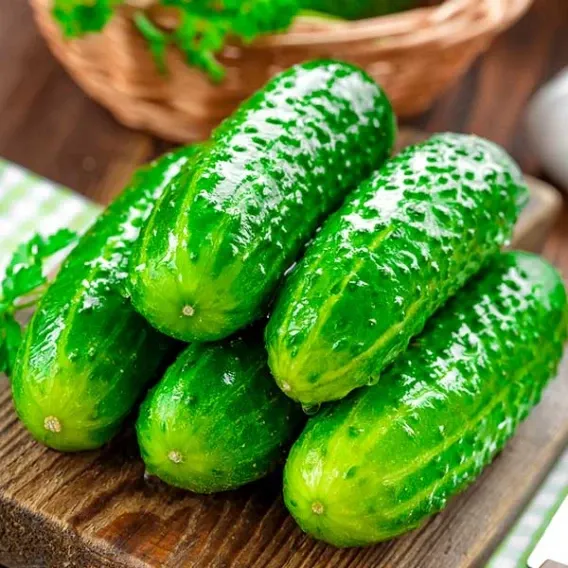 Насіння огірка Водограй F1