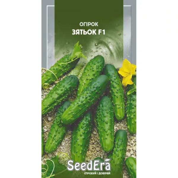 Насіння огірка Зятьок F1 SeedEra