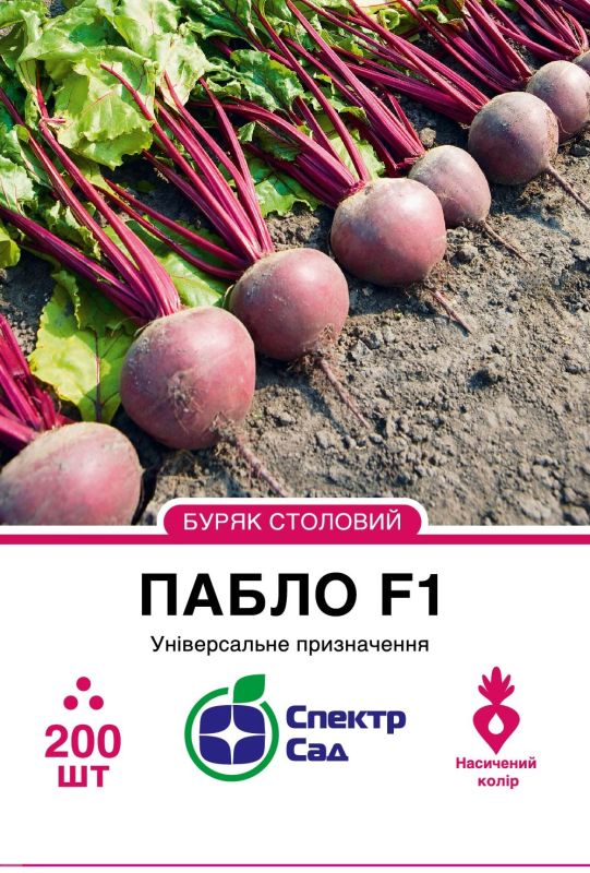 Пабло F1, насіння буряка 