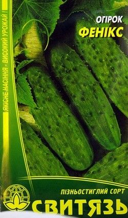 Насіння огірка Фенікс