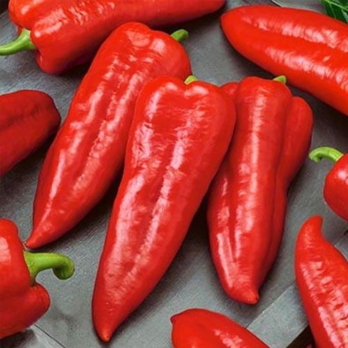 Мерцедес, насіння перцю солодкого