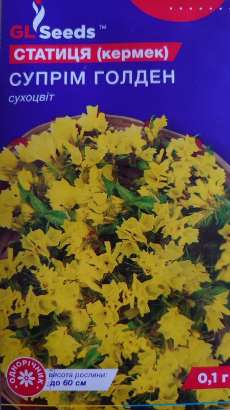 Супрім голден, насіння статиці (кермеку)