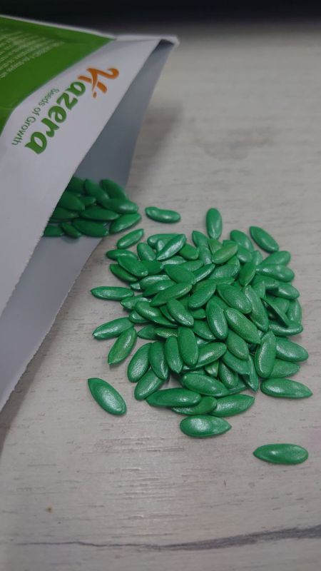 Насіння дині Ребекка F1,