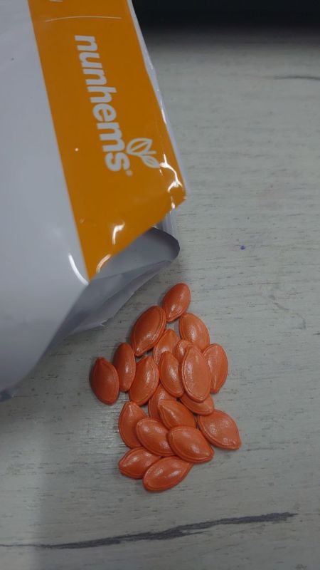 Насіння кабачків Кавілі F1