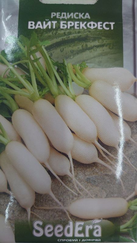 Насіння редиски Вайт брекфест