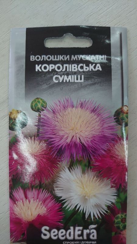 Насіння квітів Волошка мускатна Королівська суміш