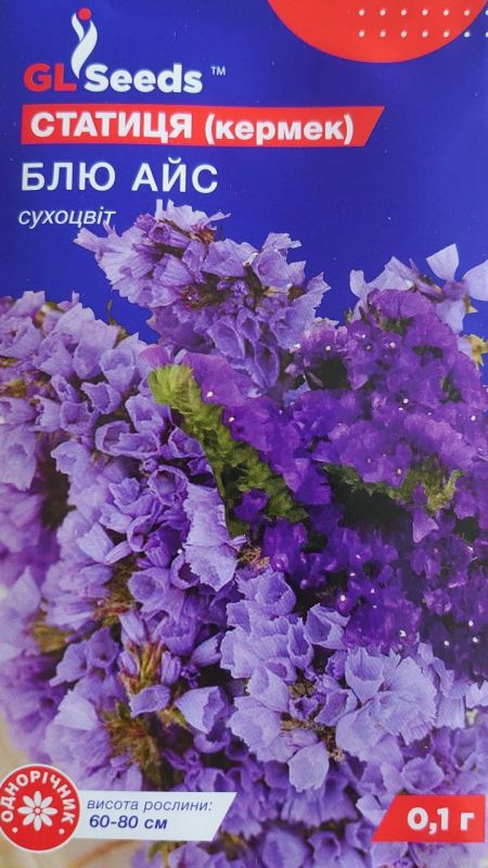 Блю Айс, насіння статиці (кермеку)