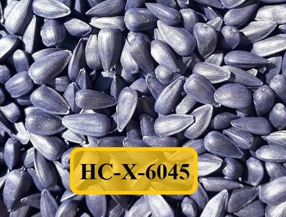 Насіння соняшнику HC X6045 (Євролайтинг)