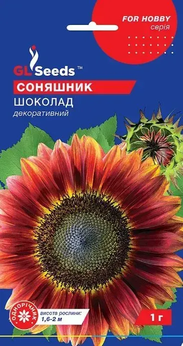 Насіння квітів Соняшник декоративний Шоколад