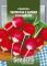 Насіння редиски Червона з білим кінчиком