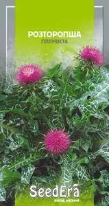 Насіння розторопші плямистої