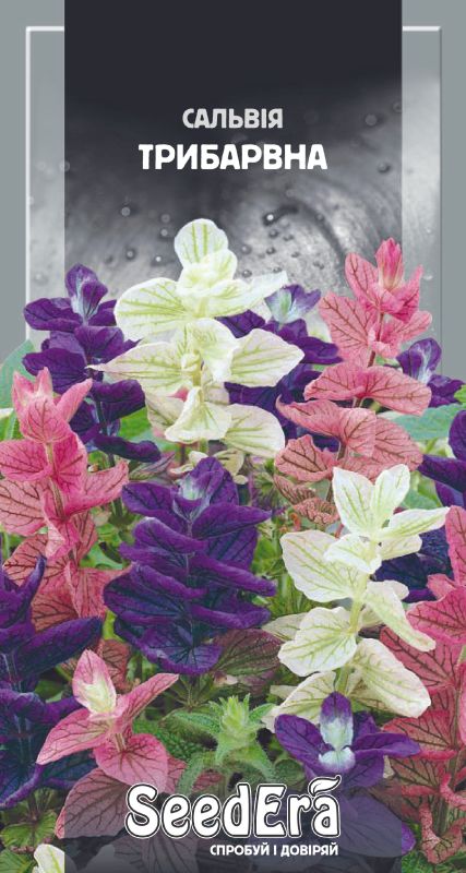 Насіння квітів Сальвія Трибарвна