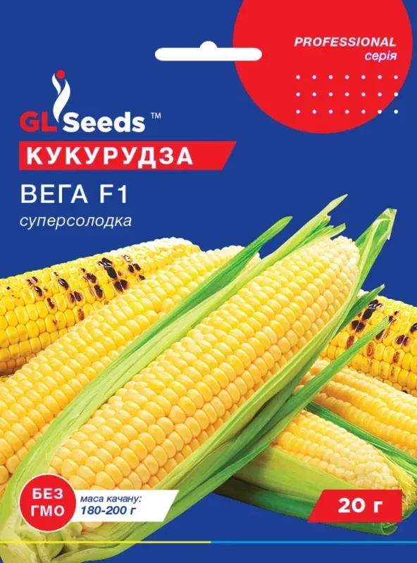 Насіння Кукурудзи Вега F1 GL Seeds