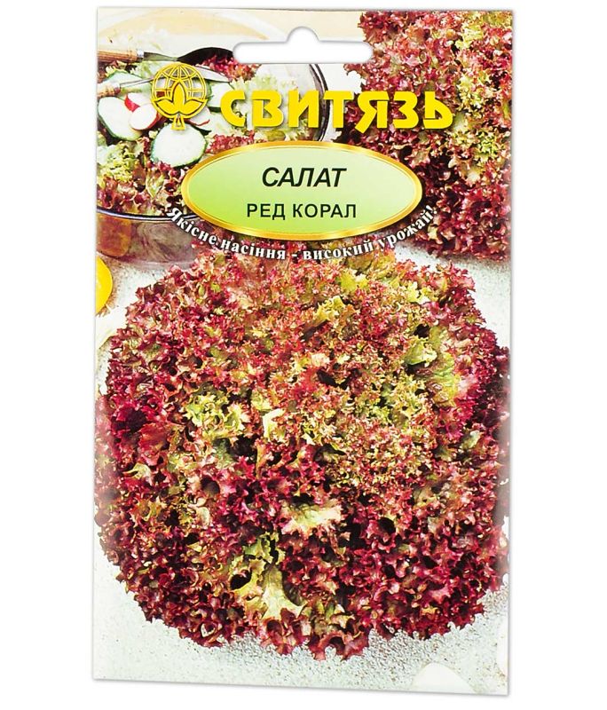 Ред Корал, насіння салату