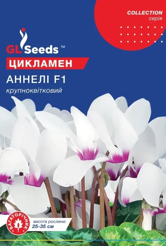 Насіння квітів Цикламен Аннелі F1