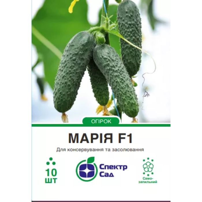 Марія F1, насіння огірка 