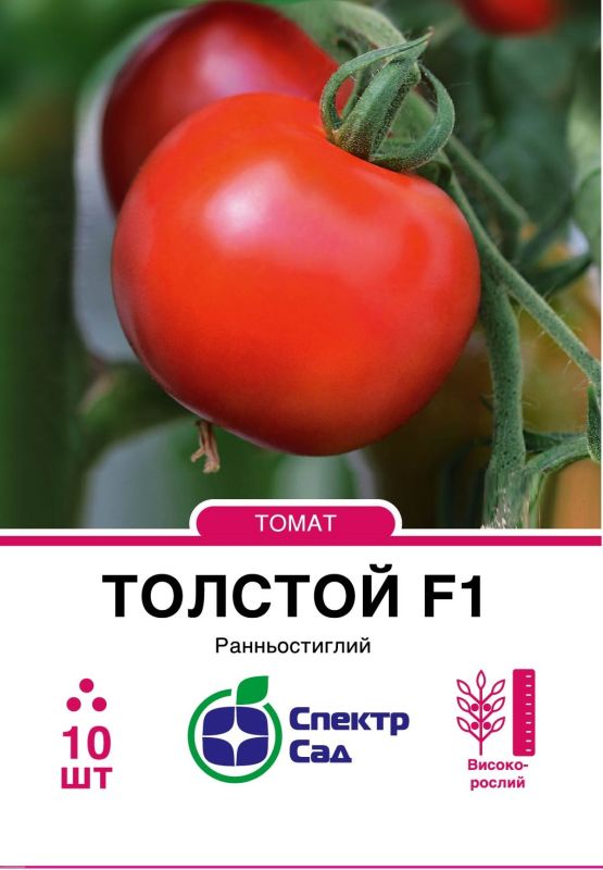 Толстой F1, насіння томату 