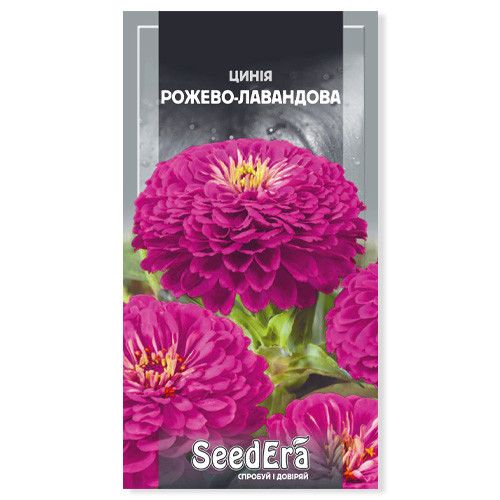 Насіння квітів Цинія Рожево-лавандова