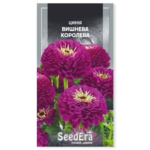 Насіння квітів Цинія Вишнева королева