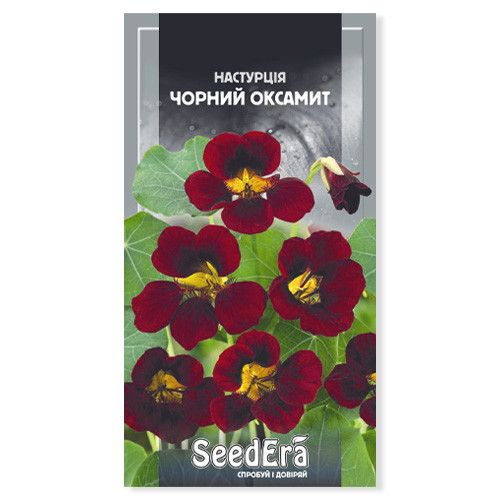 Насіння квітів Настурція Чорний оксамит