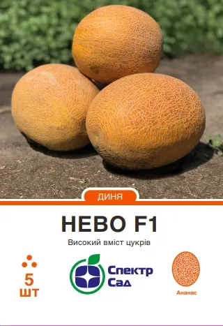 Нево F1, насіння дині 