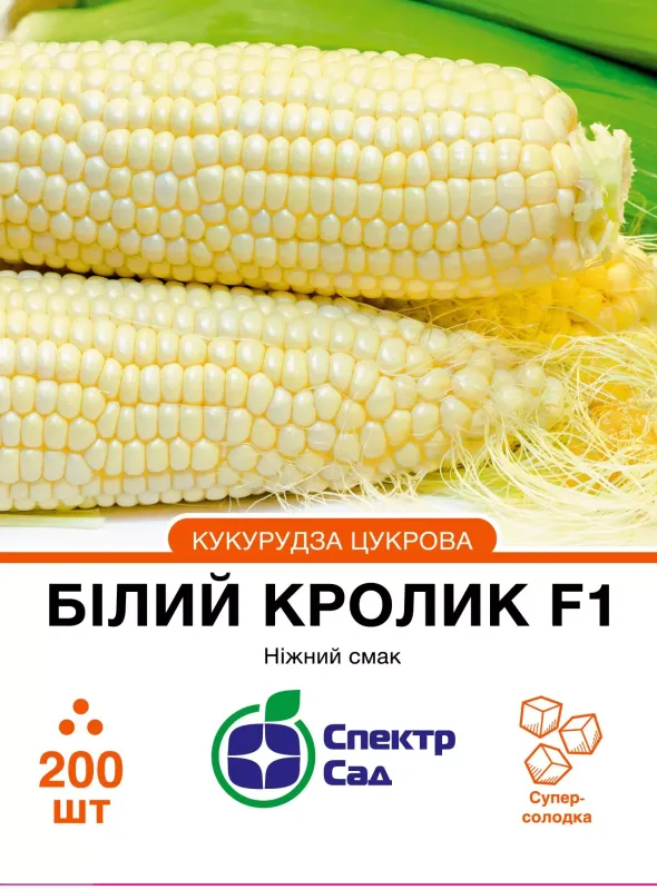 Насіння кукурудзи солодкої Білий кролик F1