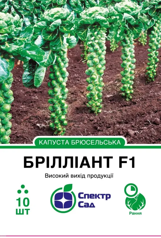 Насіння капусти брюсельської Брілліант F1
