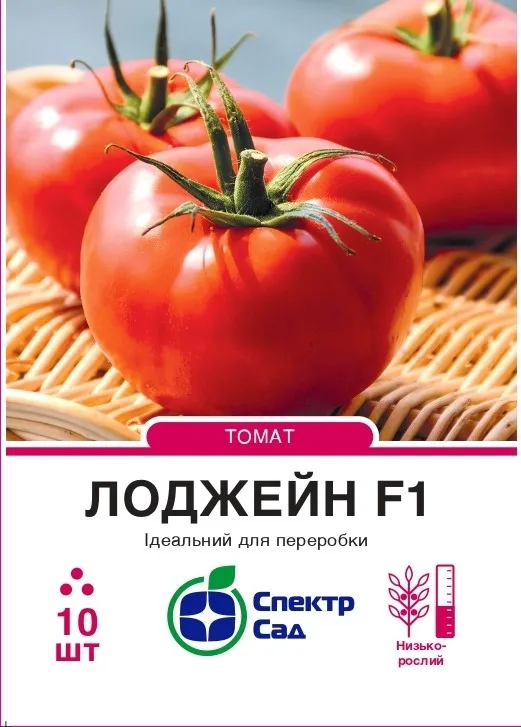 Лоджейн F1, насіння томату