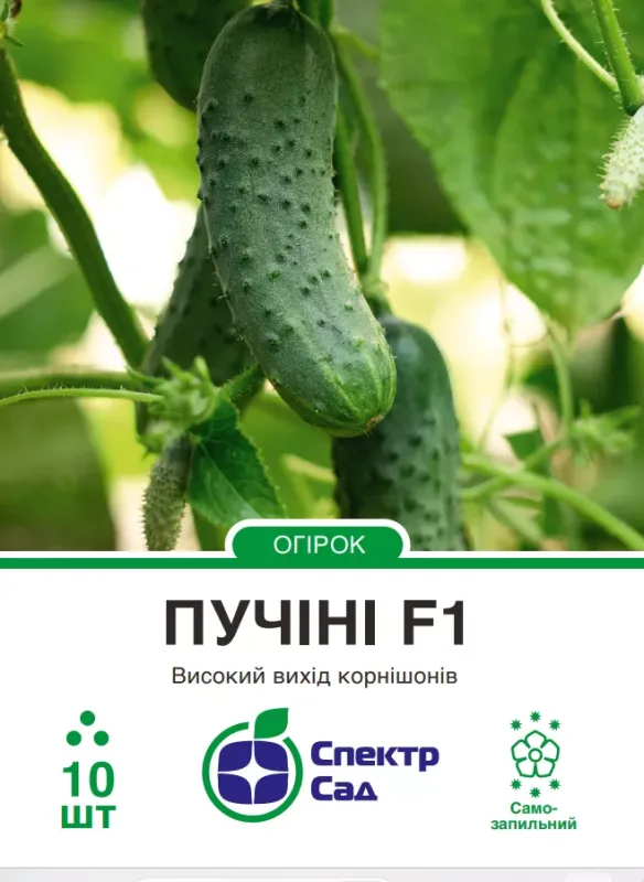 Насіння огірків Пучіні F1
