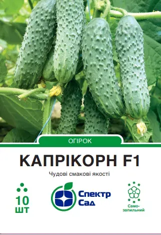 Насіння огірка Капрікорн F1