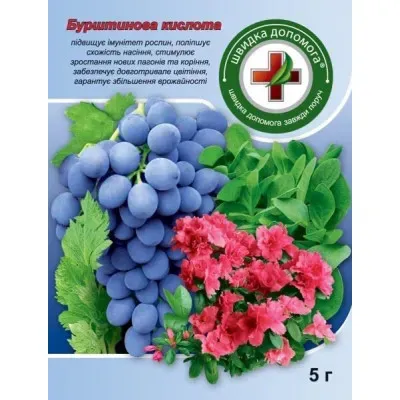 Бурштинова кислота