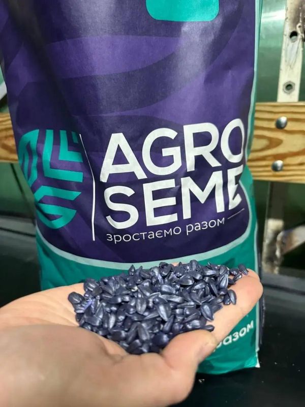 Насіння соняшника Супрема (технологія Гранстар)